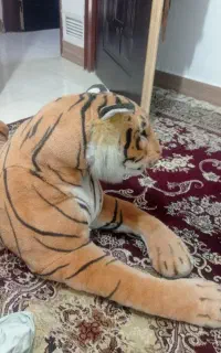عروسک ببر
