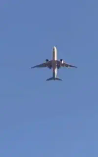 مهاجرت