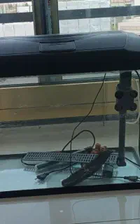 آکواریوم دلسا
