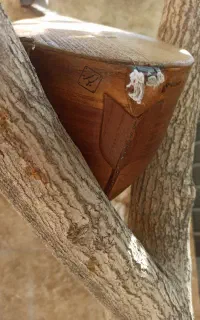 دوتار خراسان صدا بی نظیر در خراسان استخوان کاری