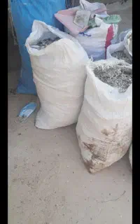 کود کبوتر