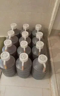 عسل گون خوشمزه اقلید دژکرد
