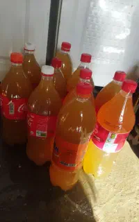 سرکه ی انگور