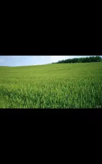 انواع کار کشاورزی