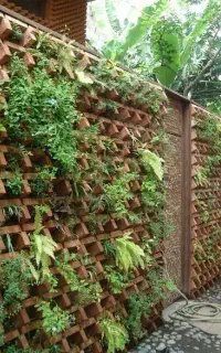کار سرایداری و باغ بانی انجام میدم سرایدار