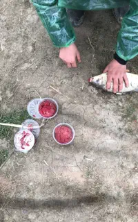 طعمه و ریسه های ماهیگیری