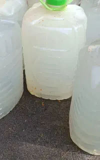 عرق نعنا