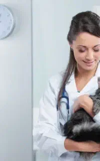 جویای کار دستیار دامپزشک/خانم