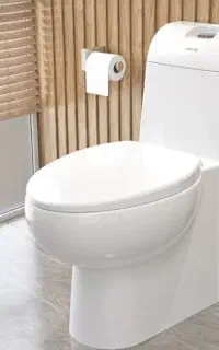تولت فرنگی نو