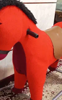 اسب الکنگی