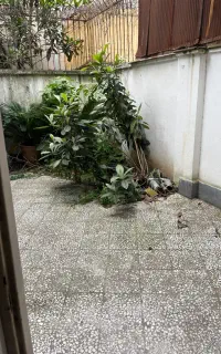 پرستار کودک ۶ماهه پسر