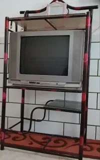 تلوزیون