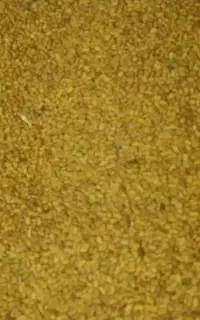 بذریونجه