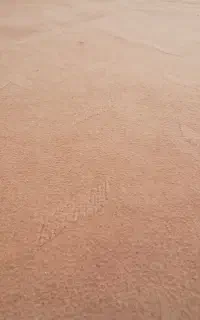 موکت