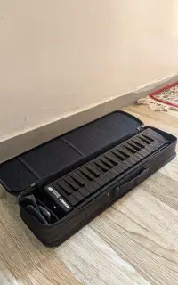ملودیکا