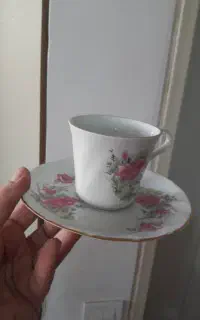 فنجان گل‌سرخ