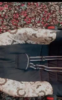 کریر ،نی نی خواب