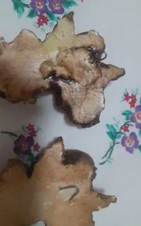 دکوری