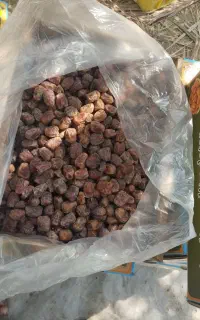 خرمای درجه یک مرداسنگ