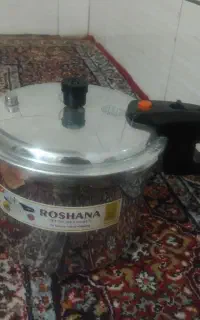 دیگ زود