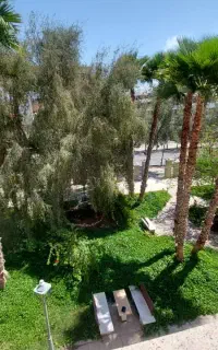 واحد مبله ۲۰۰واحدی صدف