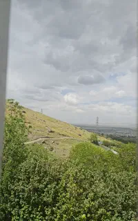 استخدام باغبان سرایدار