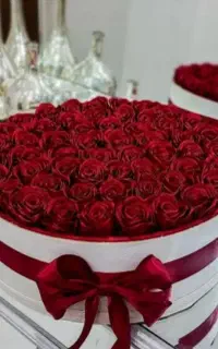 ۵۰ شاخه باکس روز دختر
