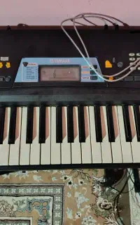 ارگ یاماها