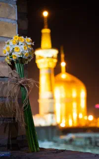 بلیط تک..از قزوین تور مشهدویژه ایام ولادت امام رضا