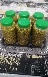 زیتون ارگانیک