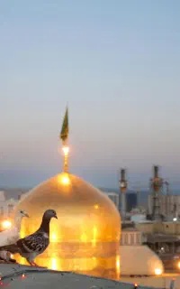 گزینه های هوایی و زمینی برای سفر به مشهد/قسطی