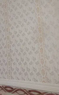 رنگ آمیزی طرح کاغذ دیواری