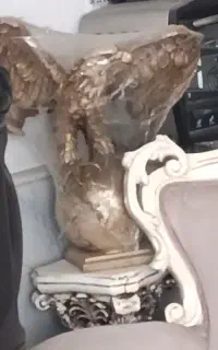 عقاب بزرگ جنس خوب