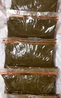 قورمه سبزی خانگی