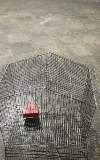 قفس پرنده طوطی سانان