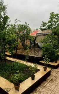 سوئیت ویلا جنگلی ابرده  (کُد1)
