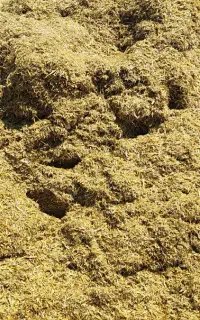 کاه. یونجه . جو