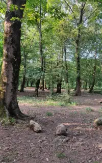 تور شمال(سیسنگان)