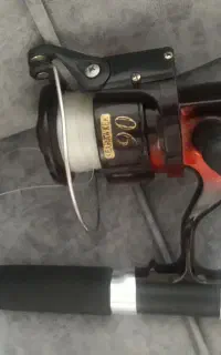 لنسروچرخ ماهیگیری