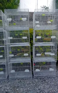 قفس ۴۰ در ۶۰ با لوازم  و. لونه طوطی