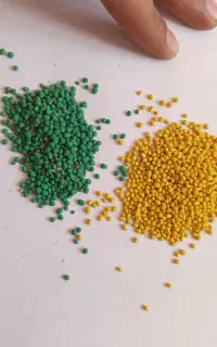 نمایندگی بذر یونجه