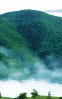 تور خانوادگی جنگل های ارسباران سولی دره سی