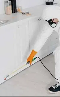 سم پاشی تخصصی و حرفه ای با تخفیف ویژه