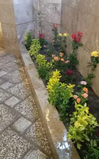 کلیه کارهای باغبانی و سم پاشی