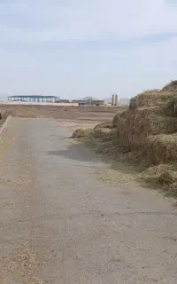 نیروی کار در گاوداری