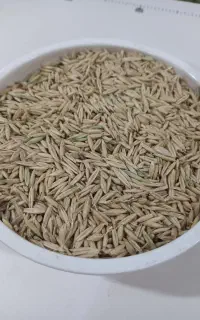 فروش جو دوسر عالی