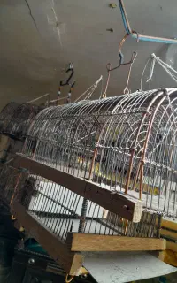 قفس سهره