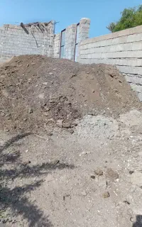 کود تمیز گوسفندی