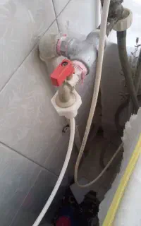 شیر پیسو ار