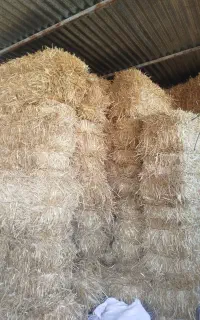 پرس کاه گندم